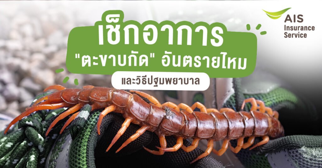ตะขาบกัดใช้อะไรทา
